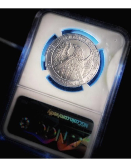 2007-W $100 Platinum Eagle Burnished MS70 NGC