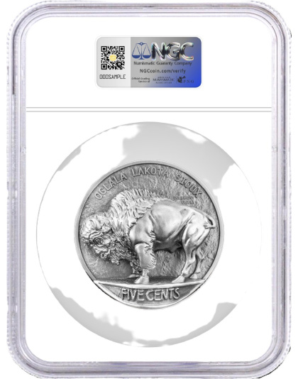 2026 5 oz Beyond Relief Buffalo Silver Coin NGC MS70