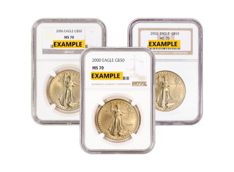 1 oz American Gold Eagle MS70 (NGC or PCGS)