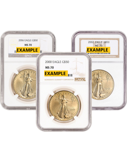 1 oz American Gold Eagle MS70 (NGC or PCGS)
